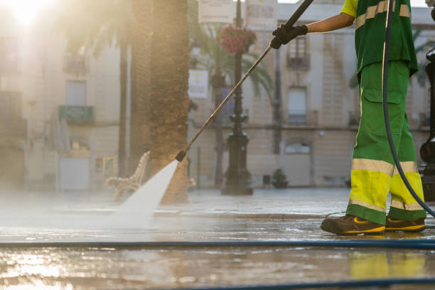 Best Gutter Cleaning  in Somerset, WI